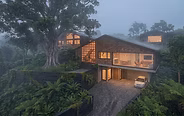 Casa Maceta