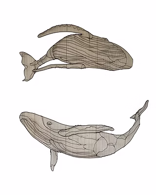 Ballenas de Alambre